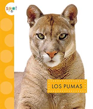 portada Los Pumas