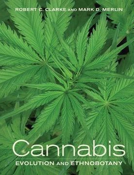 portada Cannabis: Evolution and Ethnobotany (in English)
