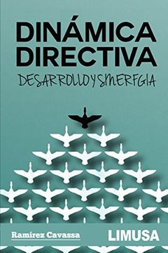 portada Dinamica Directiva. Desarrollo Y Sinergia (in Spanish)