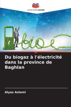portada Du biogaz à l'électricité dans la province de Baghlan (en Francés)