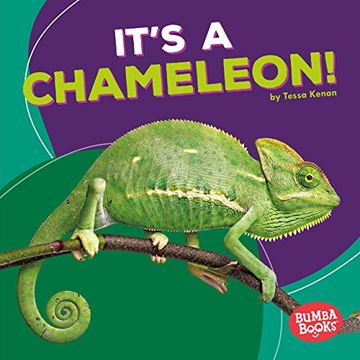portada It's a Chameleon! (Bumba Books ™ — Rain Forest Animals)