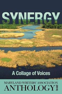 portada Synergy: A Collage of Voices Anthology 2014