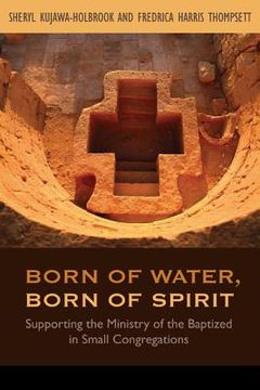 portada Born of Water, Born of Spirit: Supporting the Ministry of the Baptized in Small Congregations (en Inglés)