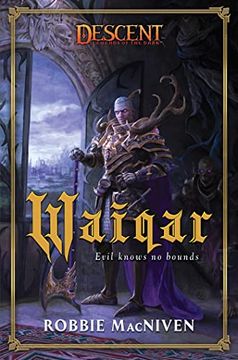 portada Waiqar: A Descent: Legends of the Dark Novel (en Inglés)