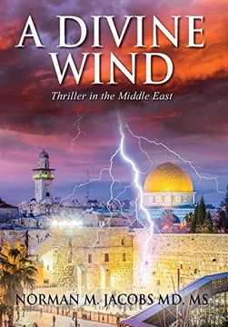 portada A Divine Wind: Taming a Tornado Anticipating a Trillion Dollar Disruptive Technology a Vision of Peace in the Middle East an Allegory on the Biblical Book of job (en Inglés)