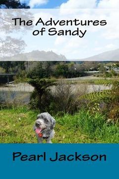 portada The Adventures of Sandy (en Inglés)