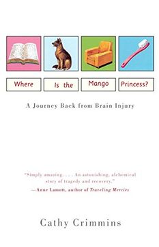 portada Where is the Mango Princess? A Journey Back From Brain Injury 