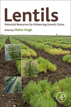 portada Lentils: Potential Resources for Enhancing Genetic Gains (in English)