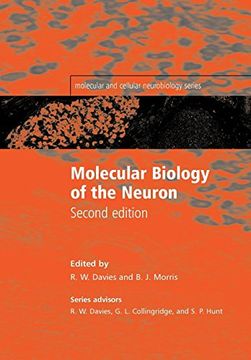 portada Molecular Biology of the Neuron (Molecular and Cellular Neurobiology Series) (in English)