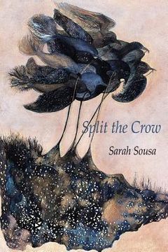 portada Split the Crow (in English)