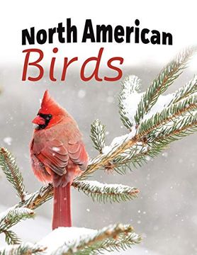 portada North American Birds: Extra-Large Print With Names (For Adults With Dementia and Other Life Challenges) (in English)