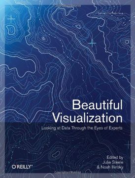 portada Beautiful Visualization (en Inglés)