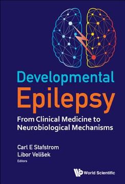 portada Developmental Epilepsy: From Clinical Medicine to Neurobiological Mechanisms 