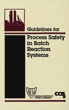guidelines for process safety in batch reaction systems (en Inglés)