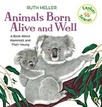 portada Animals Born Alive and Well: A Book About Mammals (Explore! ) (en Inglés)