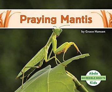 portada Incredible Insects: Praying Mantis (en Inglés)