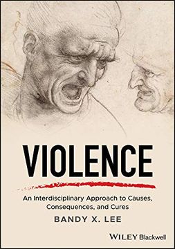 portada Violence: An Interdisciplinary Approach to Causes, Consequences, and Cures (in English)