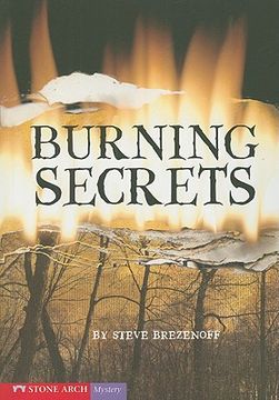 portada Burning Secrets (Vortex Books) 