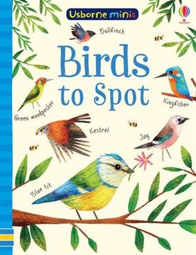portada Birds to Spot (Usborne Minis) (en Inglés)