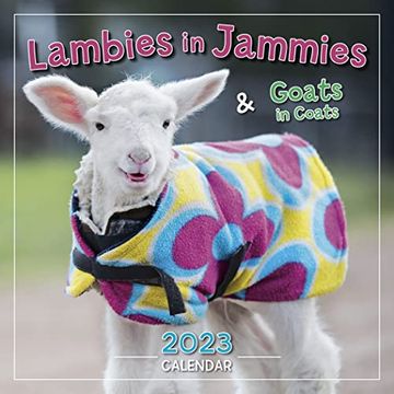 portada Lambies in Jammies Goats in Coats (Mini 12 Month) 