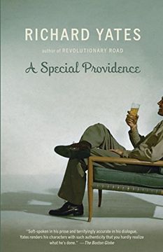 portada A Special Providence (Vintage Contemporaries) (in English)
