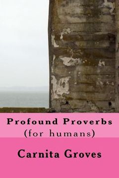 portada Profound Proverbs: (for humans) (in English)
