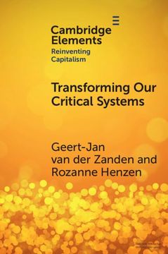 portada Transforming our Critical Systems: How can we Achieve the Systemic Change the World Needs? (Elements in Reinventing Capitalism) (in English)