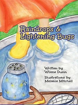 portada Raindrops & Lightening Bugs