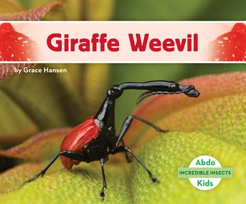 portada Giraffe Weevil (en Inglés)