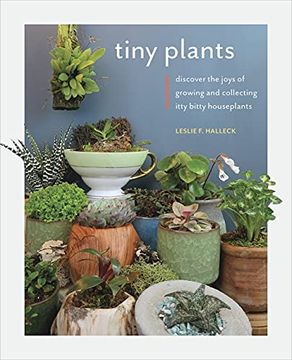 portada Tiny Plants: Discover the Joys of Growing and Collecting Itty-Bitty Houseplants (in English)