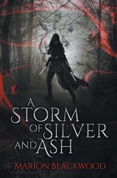 portada A Storm of Silver and Ash: 1 (The Oncoming Storm) (en Inglés)