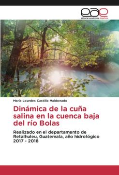 portada Dinámica de la Cuña Salina en la Cuenca Baja del río Bolas: Realizado en el Departamento de Retalhuleu, Guatemala, año Hidrológico 2017 - 2018