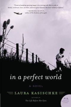 portada In a Perfect World (in English)