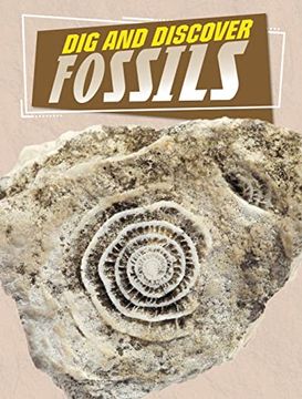 portada Dig and Discover Fossils (en Inglés)