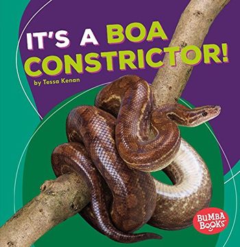 portada It's a Boa Constrictor!