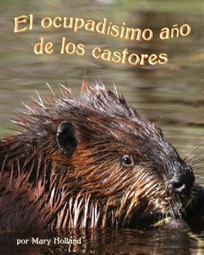 portada El Ocupadísimo Año de Los Castores (Beavers' Busy Year, The)