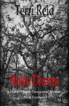portada Stolen Dreams - A Mary O'Reilly Paranormal Mystery - Book Fourteen