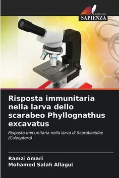 portada Risposta immunitaria nella larva dello scarabeo Phyllognathus excavatus (in Italian)