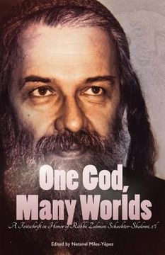 portada One God, Many Worlds: Teachings of a Renewed Hasidism: A Festschrift in Honor of Rabbi Zalman Schachter-Shalomi, z?l (en Inglés)