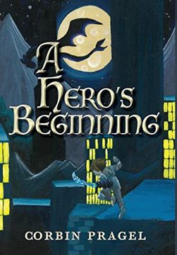 portada A Hero's Beginning (en Inglés)
