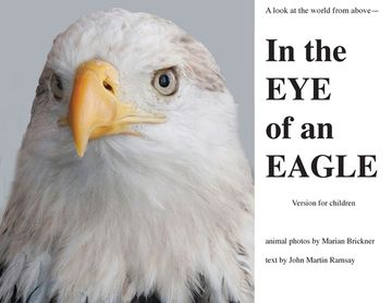 portada In the Eye of an Eagle: A look at the world from above.