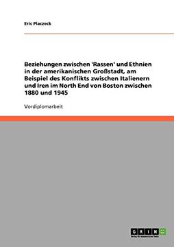 portada Beziehungen zwischen 'Rassen' und Ethnien in der amerikanischen Großstadt, am Beispiel des Konflikts zwischen Italienern und Iren im North End von Boston zwischen 1880 und 1945 (German Edition)