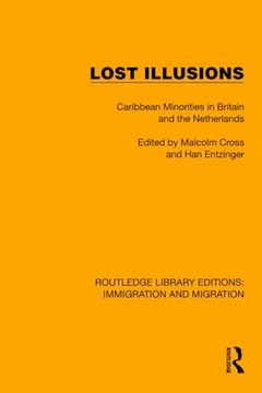 portada Lost Illusions (Routledge Library Editions: Immigration and Migration) (en Inglés)