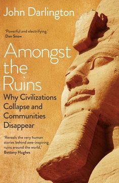 portada Amongst the Ruins: Why Civilizations Collapse and Communities Disappear (in English)