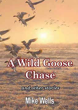portada A Wild Goose Chase: And Other Stories (en Inglés)