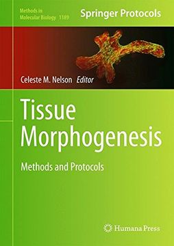 portada Tissue Morphogenesis: Methods and Protocols (Methods in Molecular Biology)