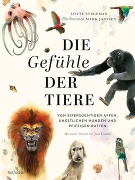 portada Die Gef? Hle der Tiere: Von Eifers? Chtigen Affen,? Ngstlichen Hunden und Pfiffigen Ratten (in German)
