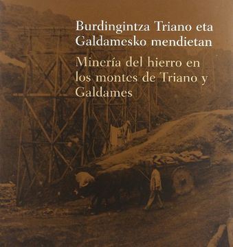 portada Mineria del Hierro en Montes Triano y ga. Ldames. Burdingintza Triano eta Galdames (in Spanish)