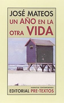 portada Un año en la Otra Vida (in Spanish)