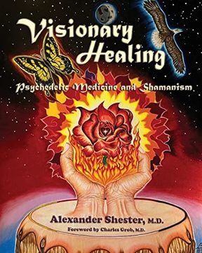 portada Visionary Healing Psychedelic Medicine and Shamanism (en Inglés)